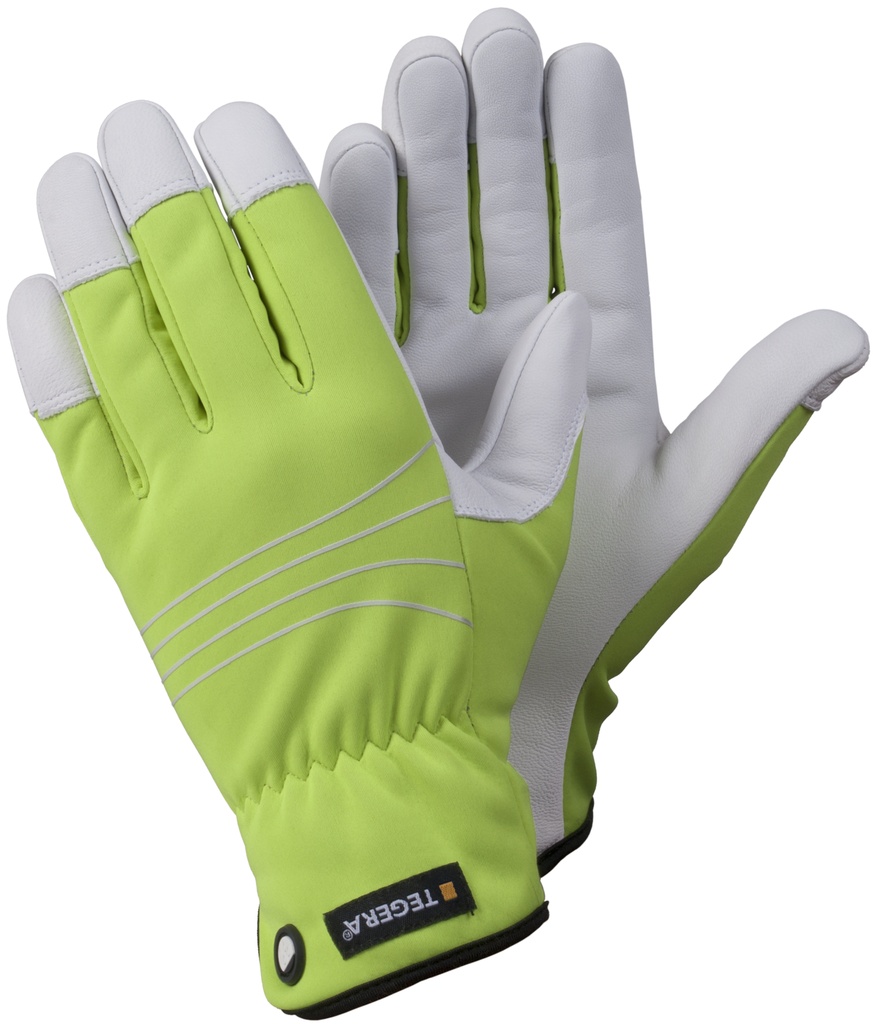 GANT TEGERA 290 (1PR)